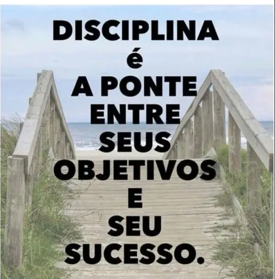 disciplina é o segredo 
