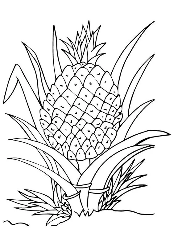 Desenho abacaxi no pé para colorir