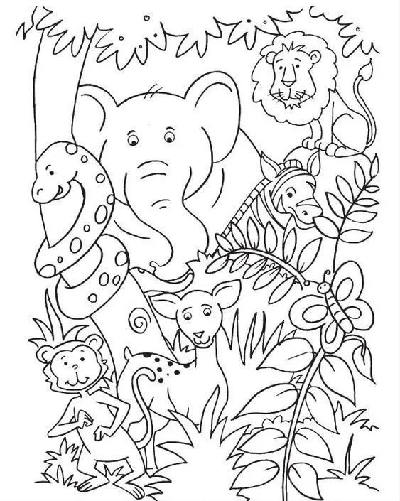 Desenho de animais silvestres para pintar