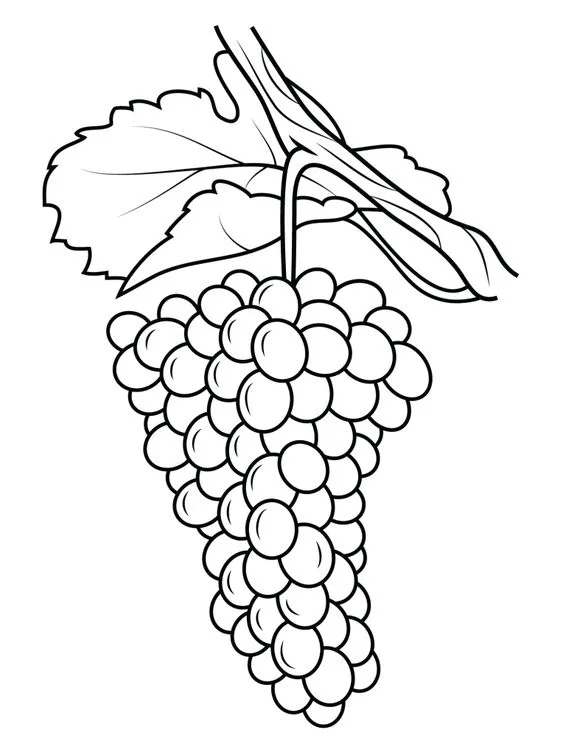 Desenho de uvas para pintar