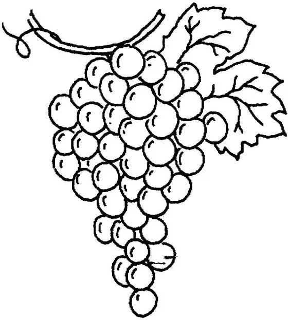 Desenho de uvas para colorir e pintar