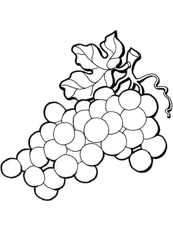 Desenho para colorir e imprimir  uvas