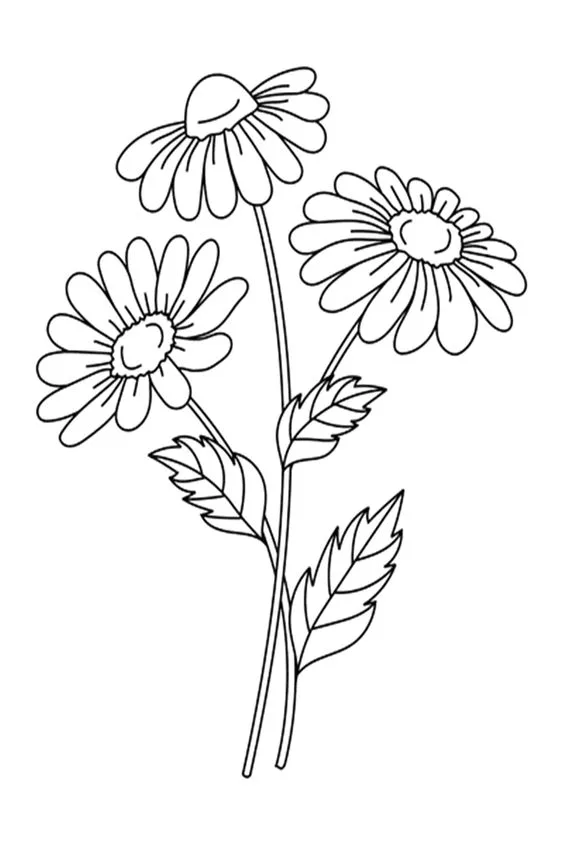 Desenho de flores para imprimir e colorir