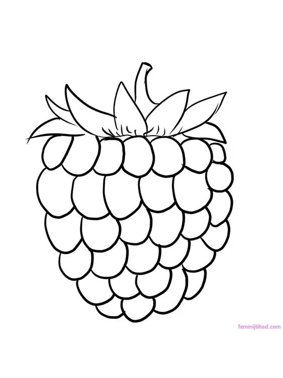 Desenho de fruta framboesa para colorir e imprimir