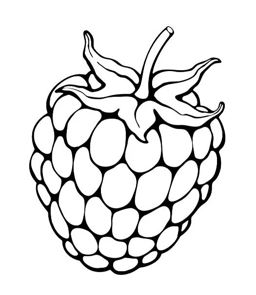 Desenho de fruta framboesa para imprimir