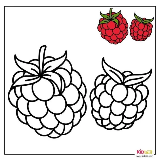 Desenho para colorir fruta framboesa