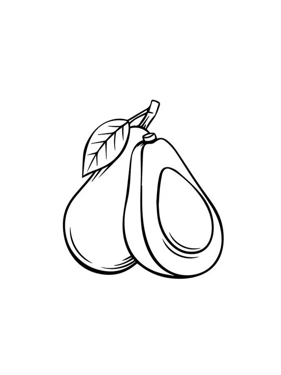 Desenho fruta abacate para imprimir