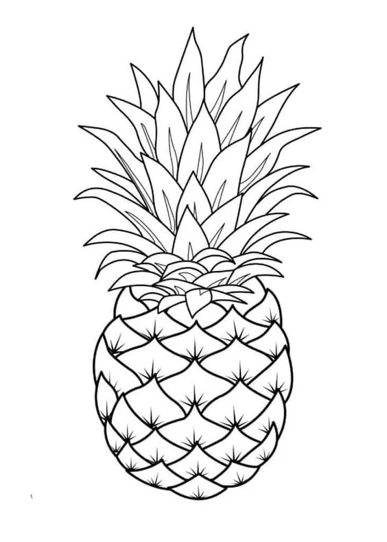 Desenho abacaxi para imprimir