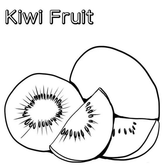 Desenho fruta kiwi para pintar