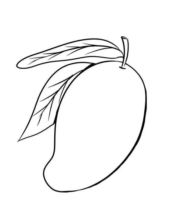 Desenho fruta manga para colorir