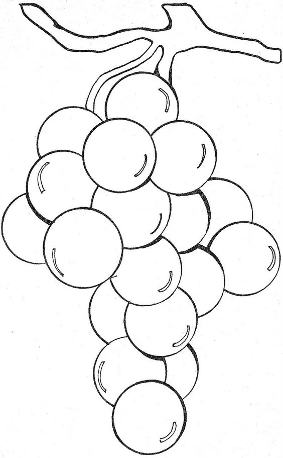 Desenho de cacho de uvas para pintar