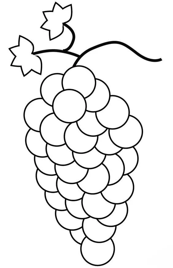 Desenho fruta uva para colorir e pintar