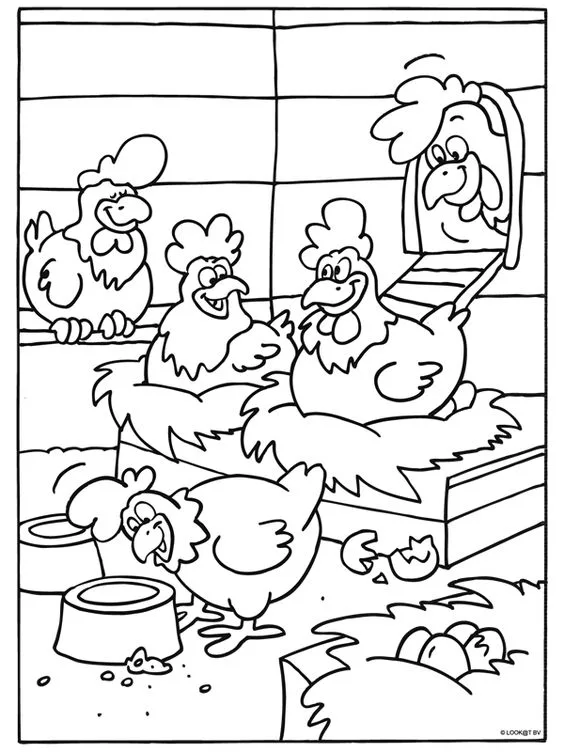 Desenho de galinhas para colorir