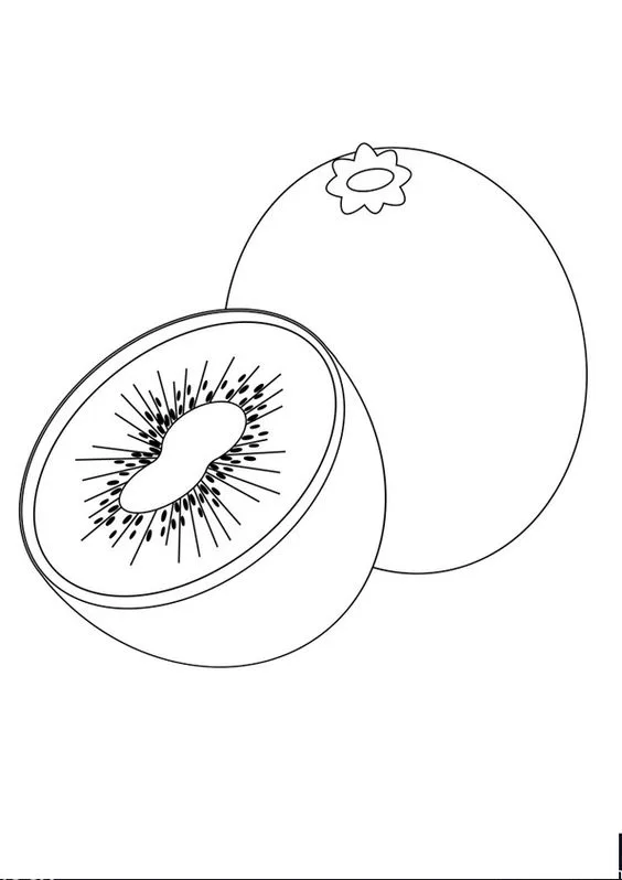 Desenho fruta kiwi para imprimir