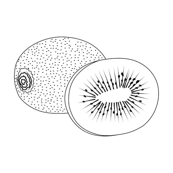 Desenho fruta kiwi para imprimir e colorir