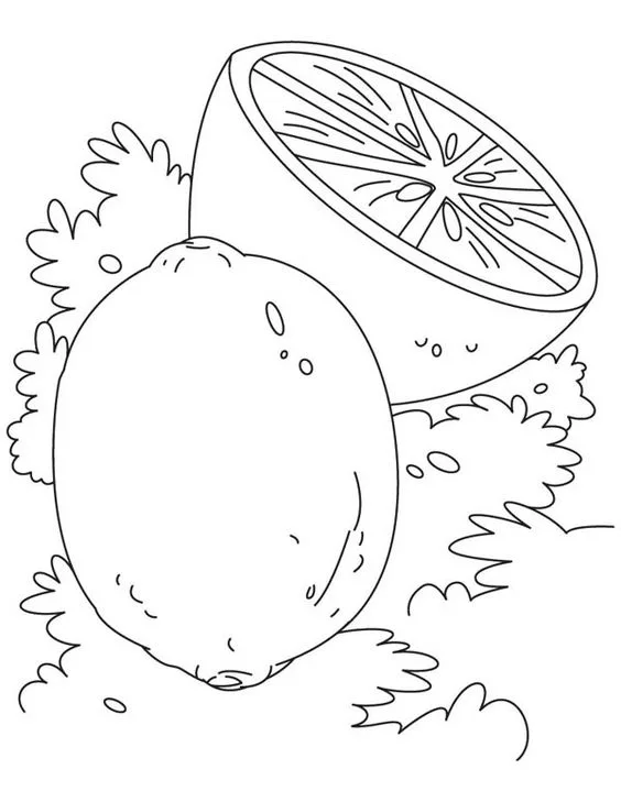 Desenho da fruta limão para imprimir
