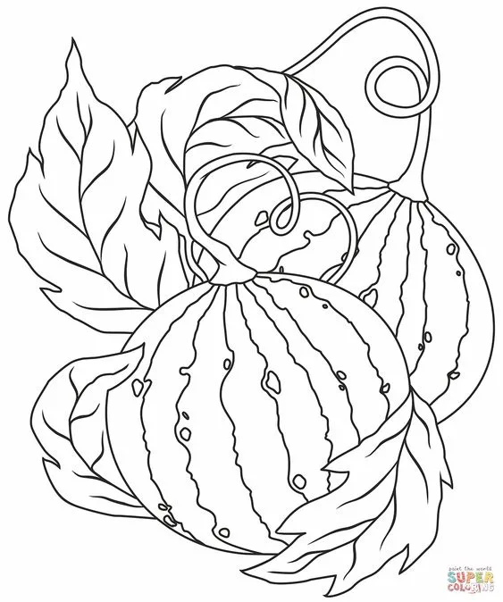 Desenho melancias para pintar
