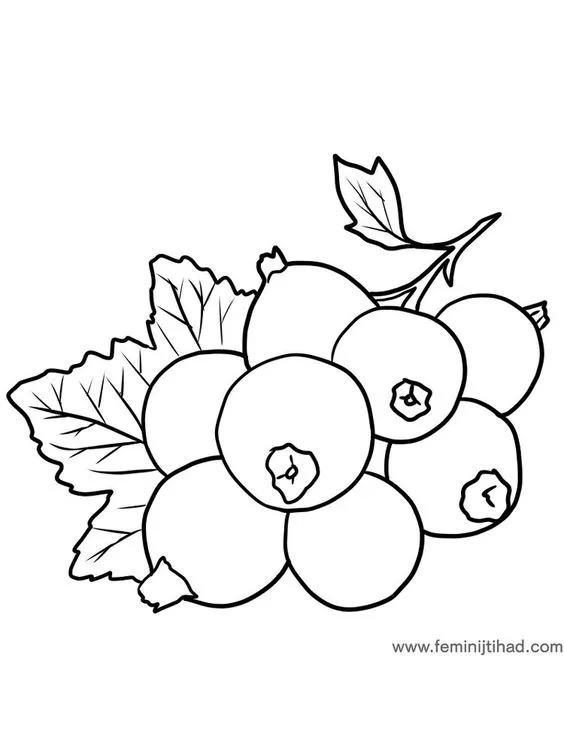 Desenho para colorir fruta mirtilo