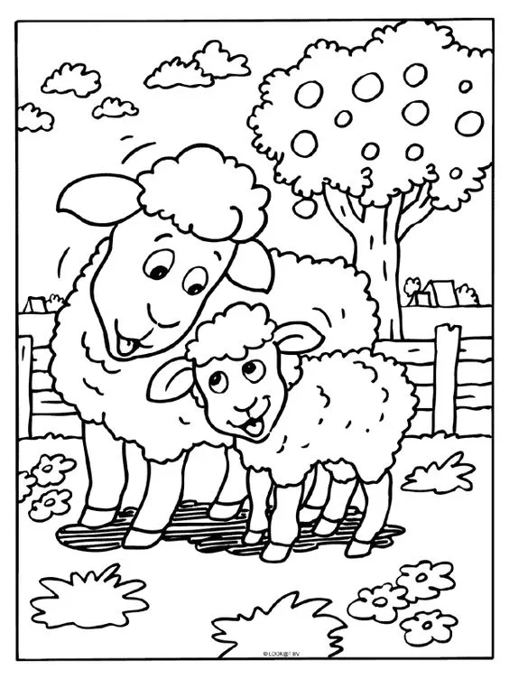 Desenho de ovelhas para colorir