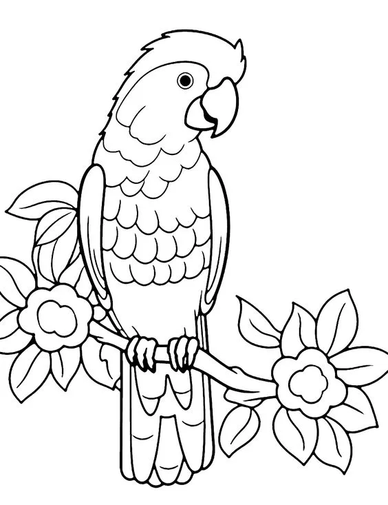 Desenho de pássaro para pintar