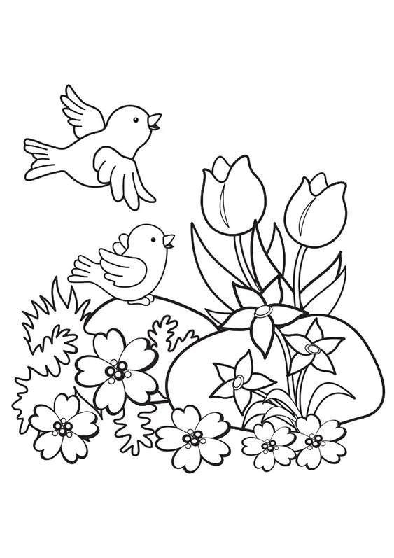 Desenho de pássaros para imprimir e colorir