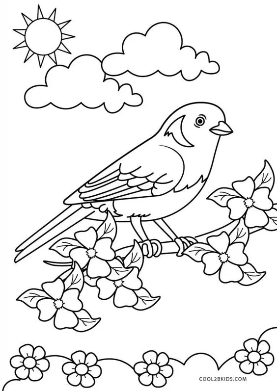 Desenho de pássaro para imprimir e colorir