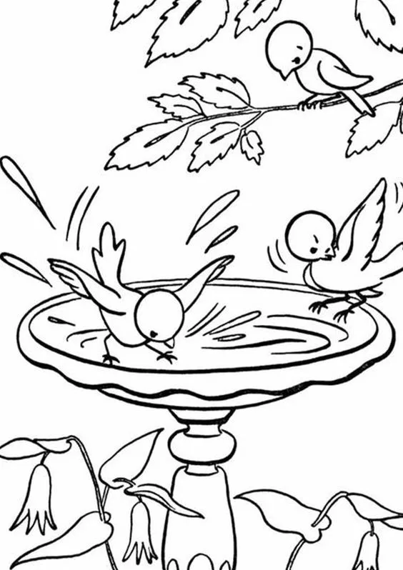 Desenho de pássaros banhando para colorir