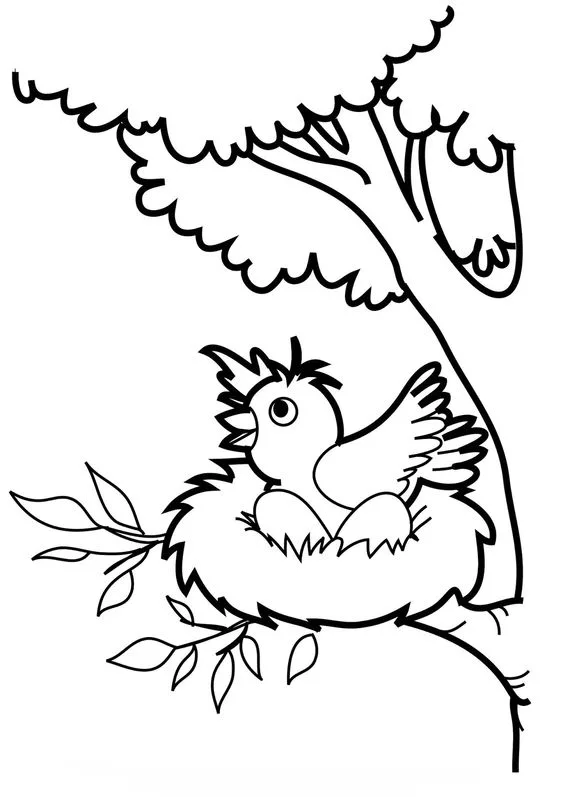 Desenho de pássaro no ninho para colorir