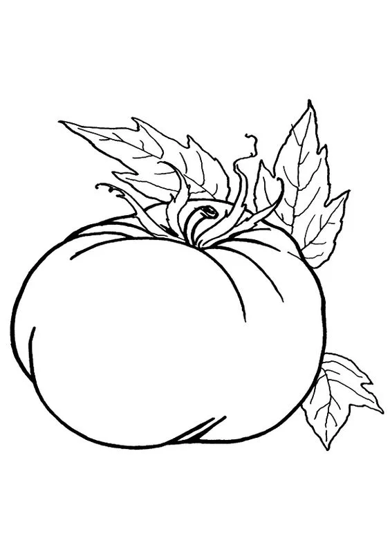 Desenho tomate fruta para pintar