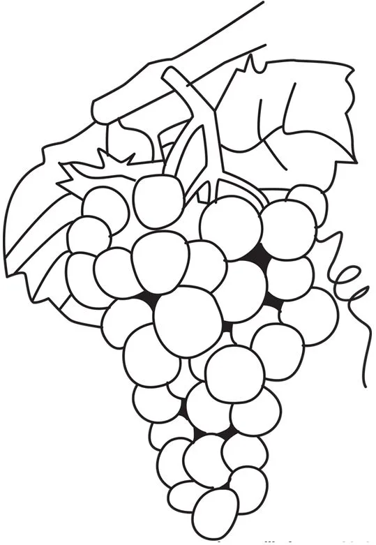 Desenho de uvas para imprimir