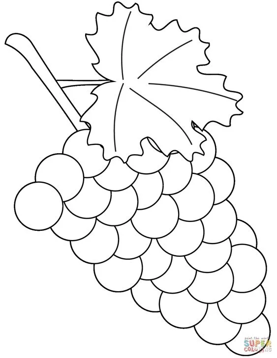 Desenho de uvas para imprimir e colorir