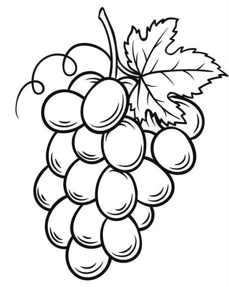 Desenho de uvas para imprimir e pintar