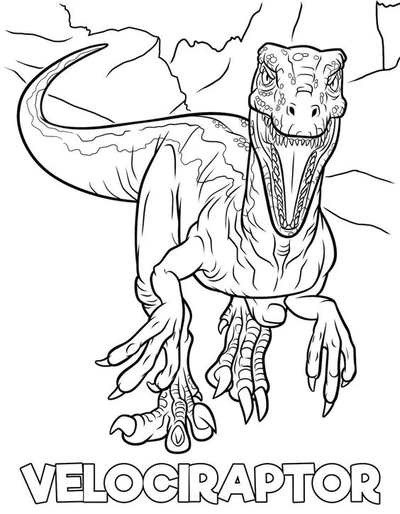 Desenho de um velociraptor para colorir