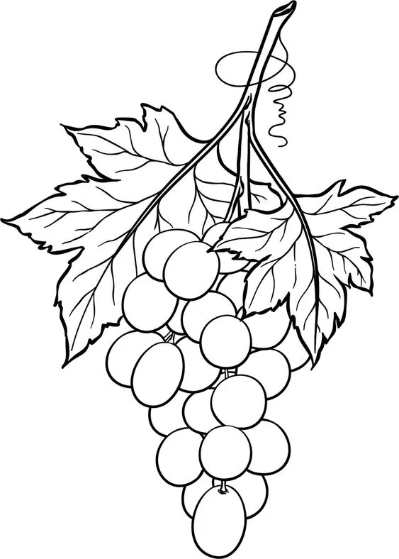 Desenhos de Uvas para Colorir